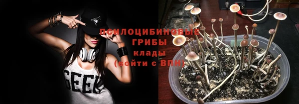 твердый Алексеевка